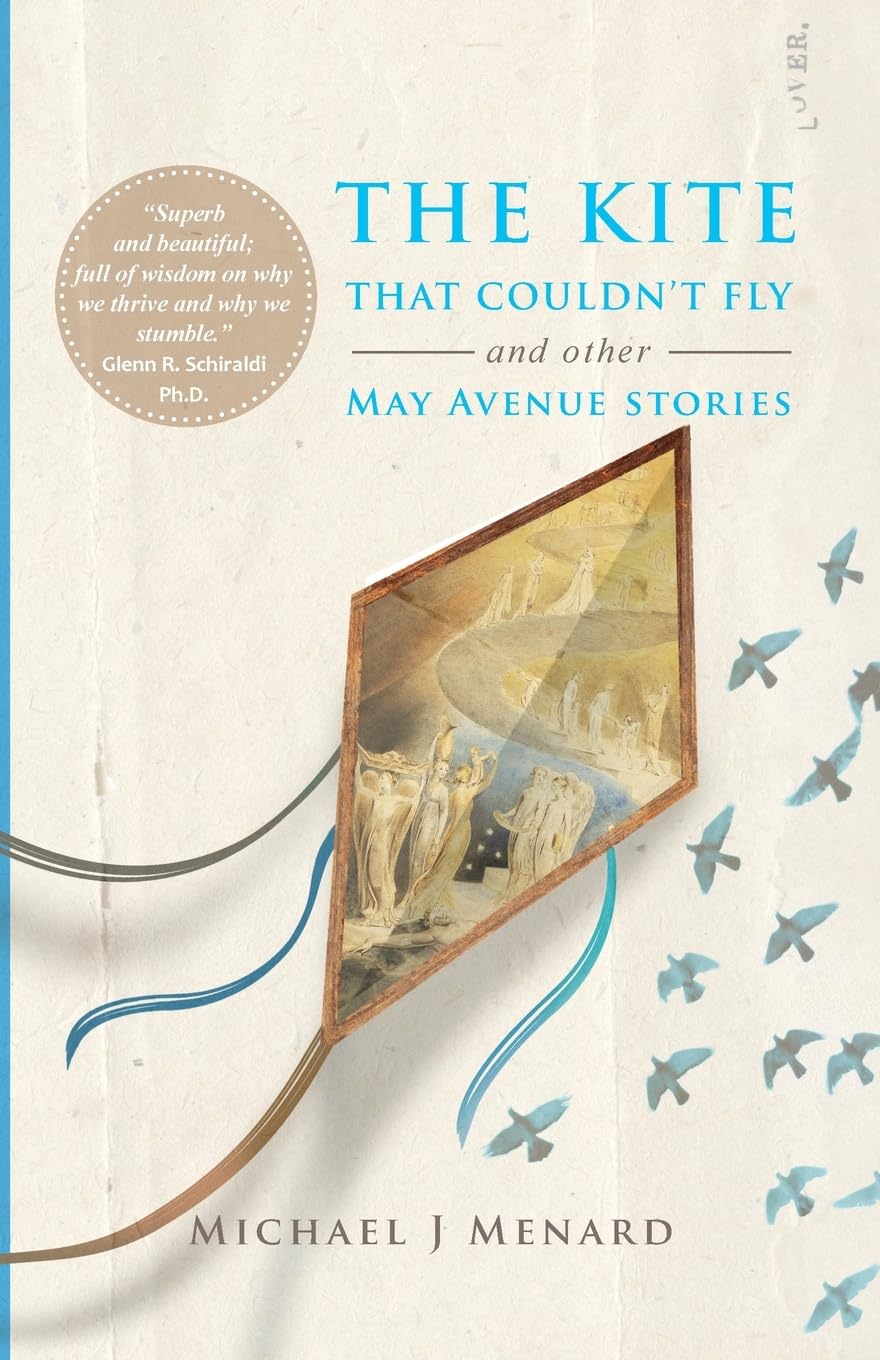 book cover with image of kite and birds