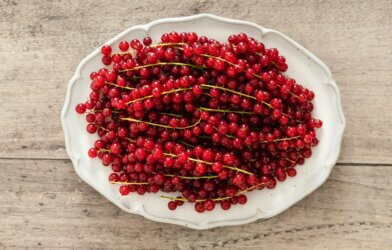 Cranberries on a plate