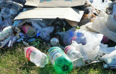 coca cola plastic bottle on green grass