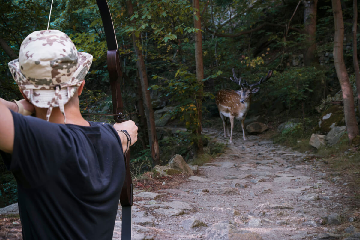 Hunter With Arrow Aimed At Deer