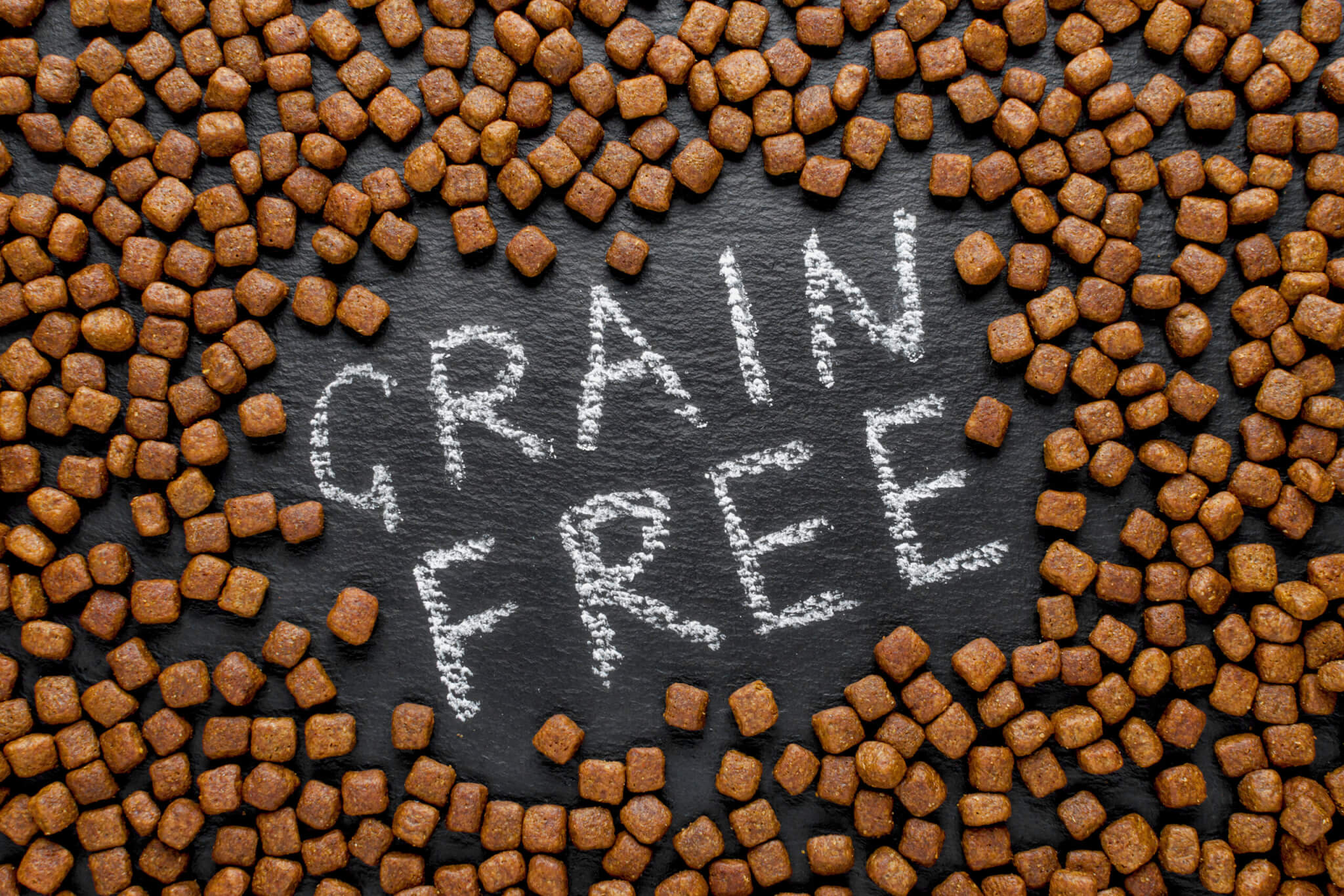 Grain-free dog food