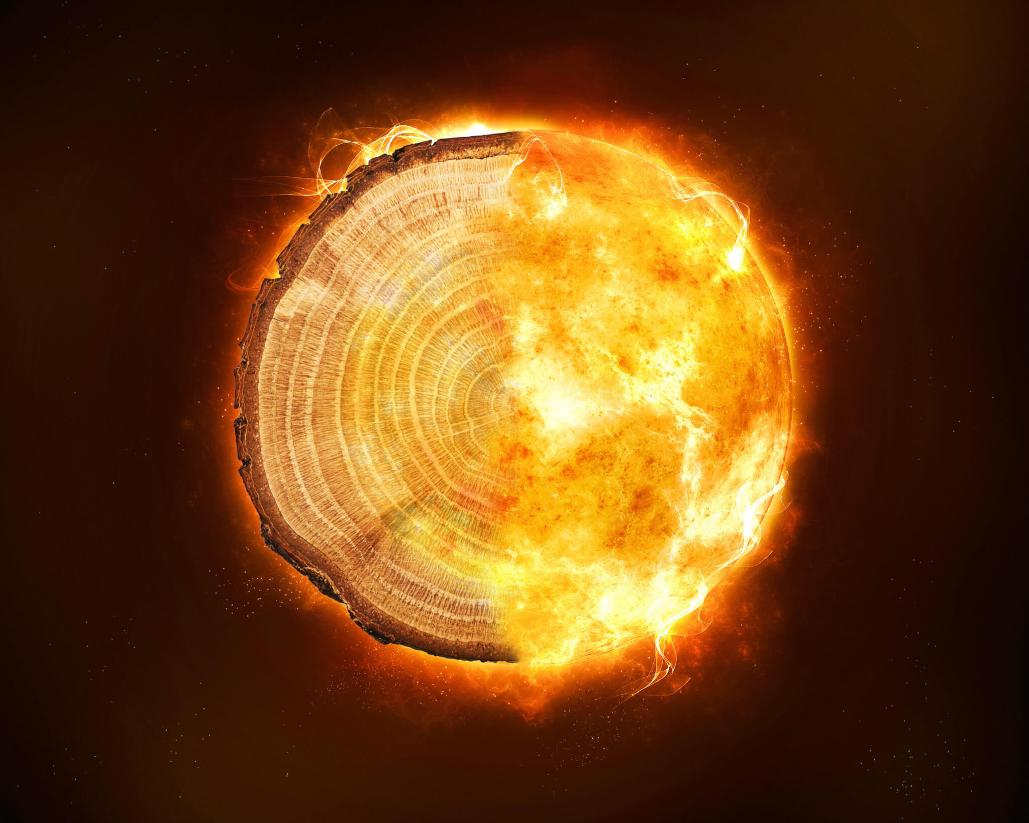 Composite image of tree rings and sun