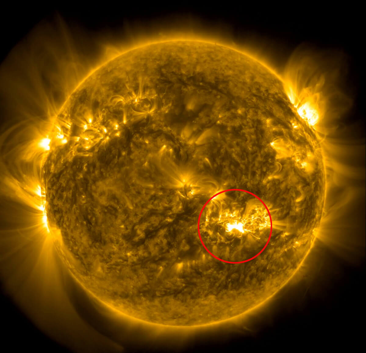 Image captured by NASA's Solar Dynamics Observatory (SDO) spacecraft shows the solar flare from the Sun's sunspot at bottom right of star