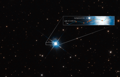 This graphic shows how microlensing was used to measure the mass of a white dwarf star.